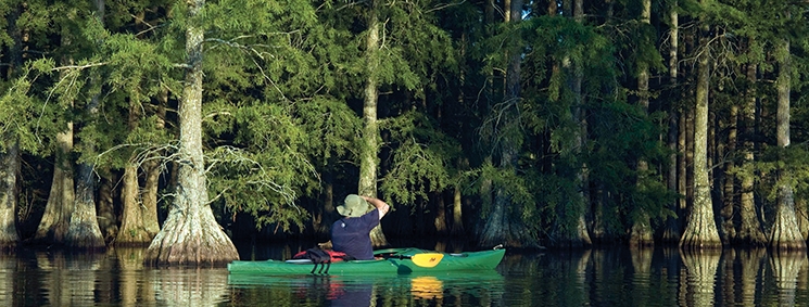 kayaker on the water