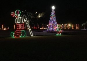 Christmas in the Park