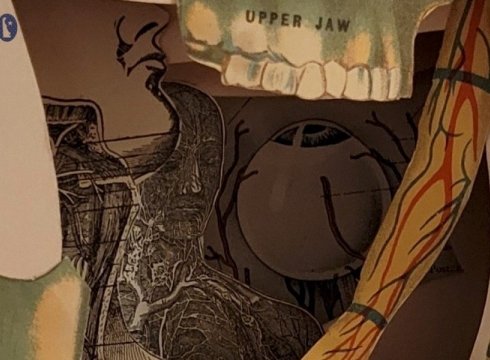 Revolutionary: Members' Juried Theme Show