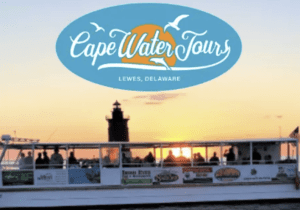 Seal Watching with MERR Institute • Lewes Ferry