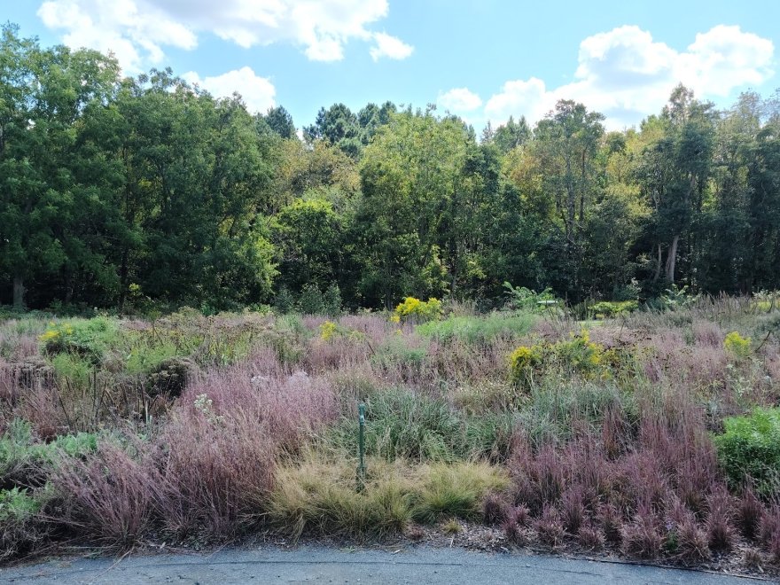 Delaware Botanic Gardens at Pepper Creek
