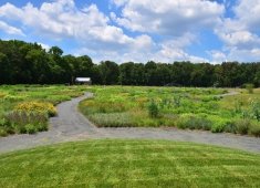 Delaware Botanic Gardens at Pepper Creek