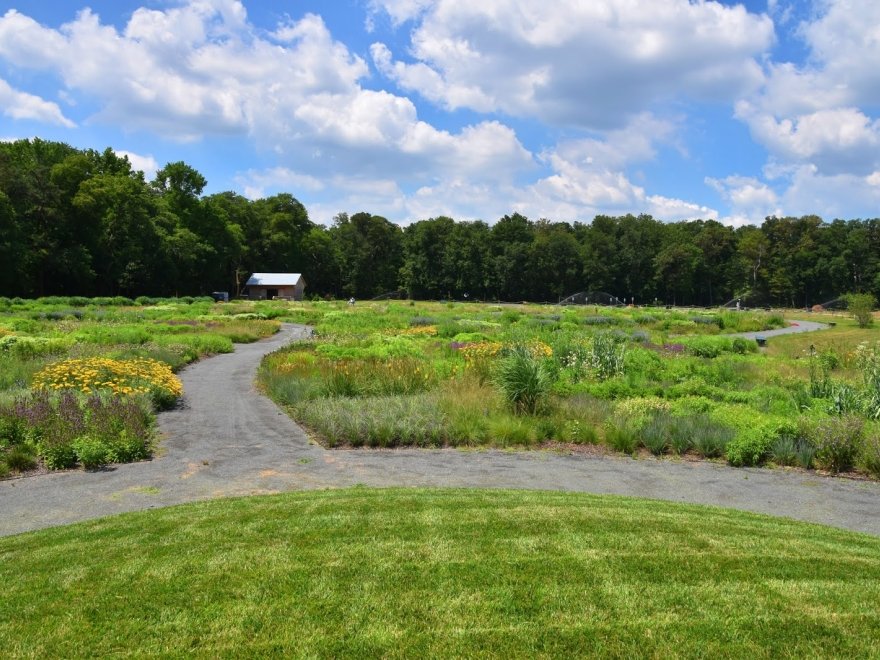 Delaware Botanic Gardens at Pepper Creek
