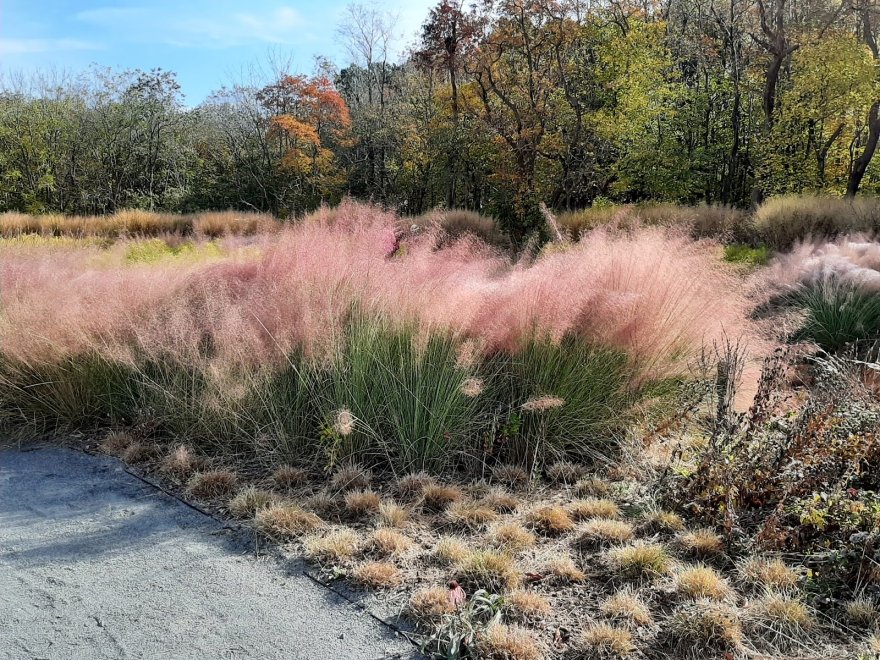 Delaware Botanic Gardens at Pepper Creek