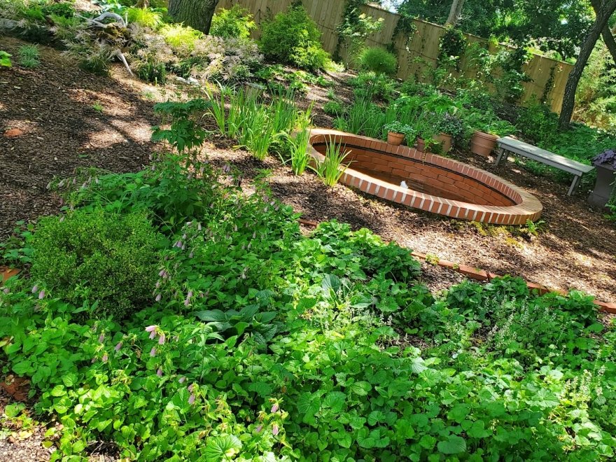Delaware Botanic Gardens at Pepper Creek