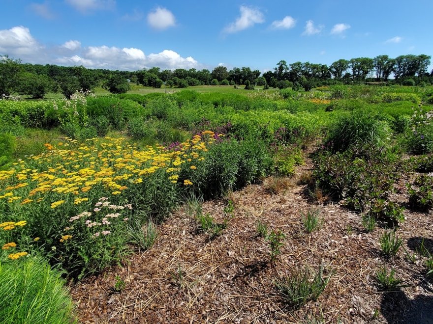 Delaware Botanic Gardens at Pepper Creek