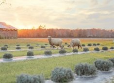 Brittingham Farms