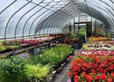 Garden Shack Farm