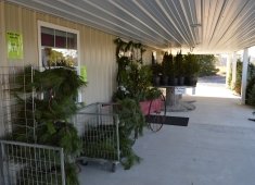 Don's Tree Farm - Off Season Call Ahead