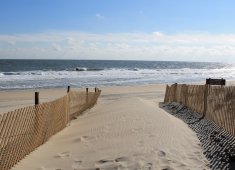 Fenwick Island State Park