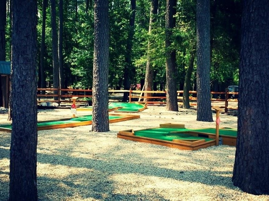 Holly Lake Campsites