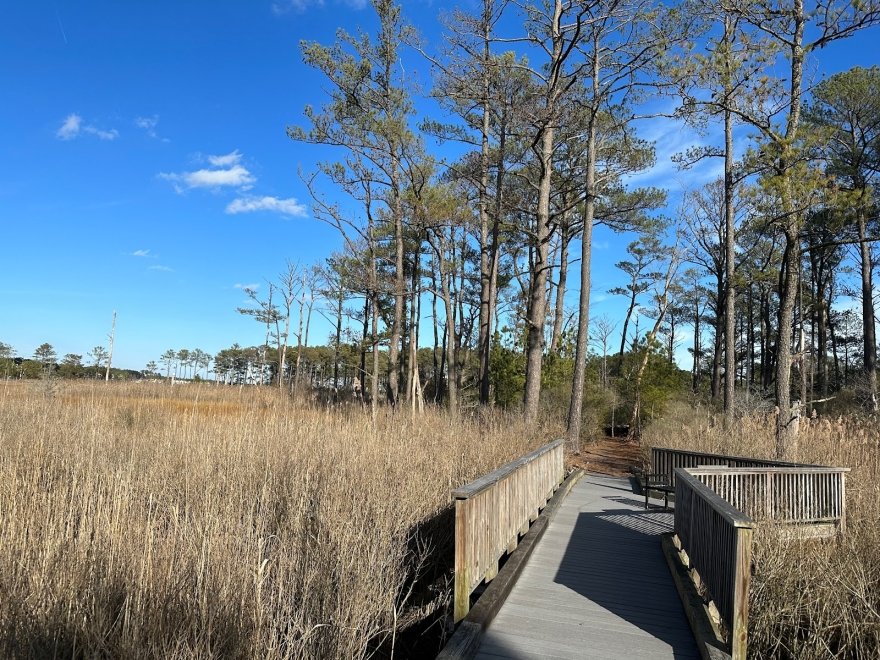 Bethany Beach Nature Center