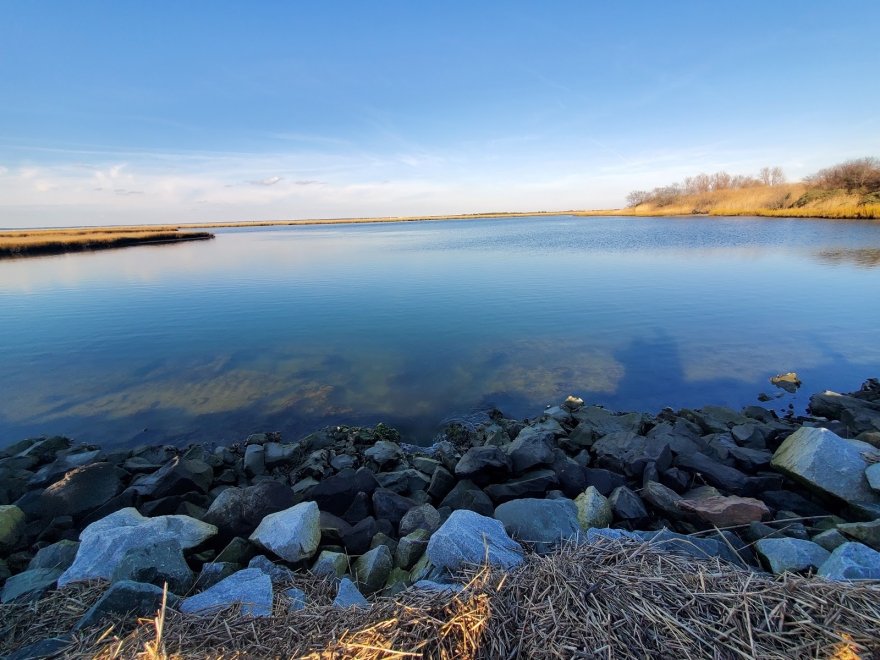 Delaware Seashore State Park