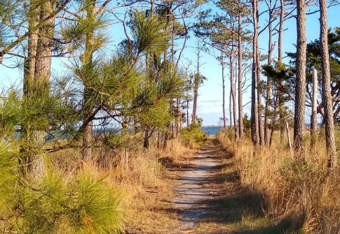 Website Connects Visitors and Locals with Outdoor Spaces in Southern Delaware and Beyond