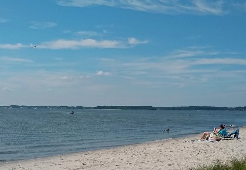 Take These 8 Small but Mighty Steps Towards Sustainable Tourism in Southern Delaware